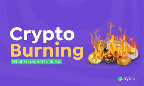 Token Burn Mechanisms: Insights